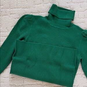 Time and Tru Emerald Turtleneck Sweater